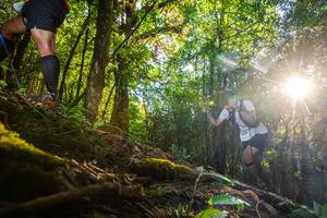 BIB: 3223, 3336
                            <button type="button" onclick="openModal(16015608)" class="btn btn-primary btn-sm float-right btn-popup" data-toggle="modal" data-target=".modal-high-quality">
                        <i class="fas fa-shopping-cart"></i> Add to Cart
                    </button>
                                            <button type="button" onclick="isThisMe(16015608, true)" class="btn btn-success btn-sm float-right btn-popup btn-isme hidden" data-toggle="tooltip" data-placement="bottom" title="นี่คือรูปของคุณใช่ไหม คลิกที่นี่เพื่อเอาเข้าอัลบั้ม">
                        <i class="fas fa-plus"></i> Add to album
                    </button>
                    <button type="button" onclick="isThisMe(16015608, false)" class="btn btn-warning btn-sm float-right btn-popup btn-isnotme hidden">
                        <i class="fas fa-ban"></i> Remove from album
                    </button>